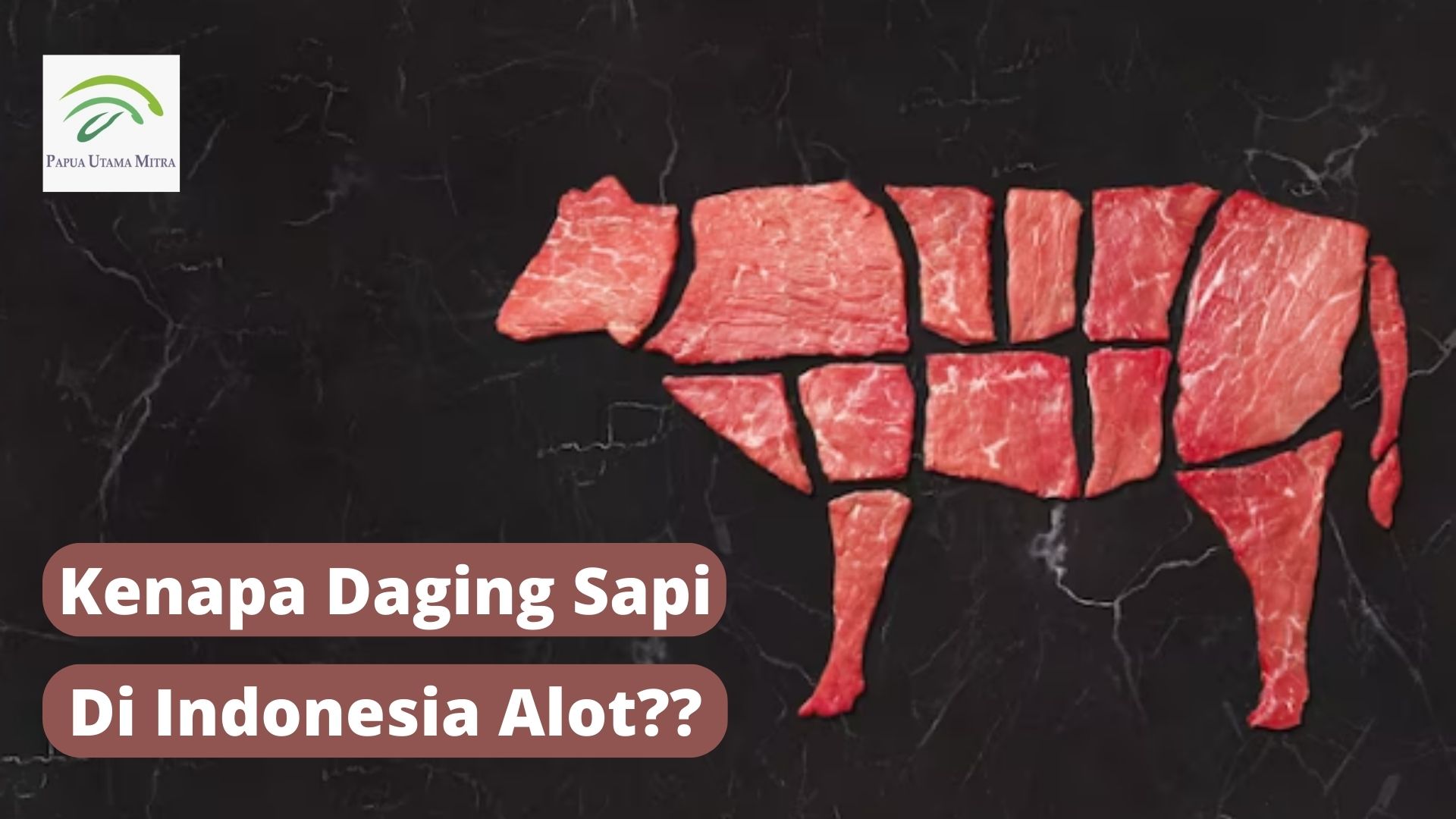 Kenapa Daging Sapi di Indonesia Alot?
